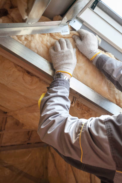 Best Geographic-Specific Insulation Services in Bonita Springs, FL