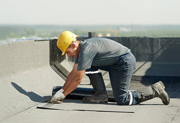 Best Specialized Insulation Services in Bonita Springs, FL