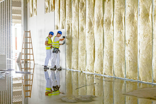 Types of Insulation We Offer in Bonita Springs, FL